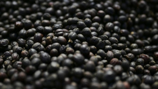 Bundesgerichtshof urteilt über Kaffeewerbung mit reduziertem Preis