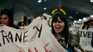 La COP30 s'enfonce dans la nuit, l'ambition sur la sortie des fossiles en p&eacute;ril