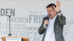 AfD verh&auml;ngt Auftrittsverbot f&uuml;r Europa-Spitzenkandidat Krah