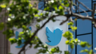 L'avenir sombre de Twitter, jouet rejet&eacute; par Elon Musk