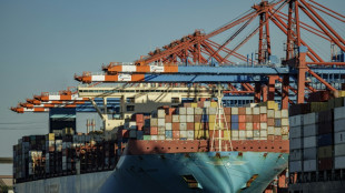 Regierung gibt gr&uuml;nes Licht f&uuml;r begrenzten Einstieg Chinas beim Hamburger Hafen
