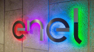 Enel, utile nei 9 mesi sale a 5,7 miliardi, giù margini Italia