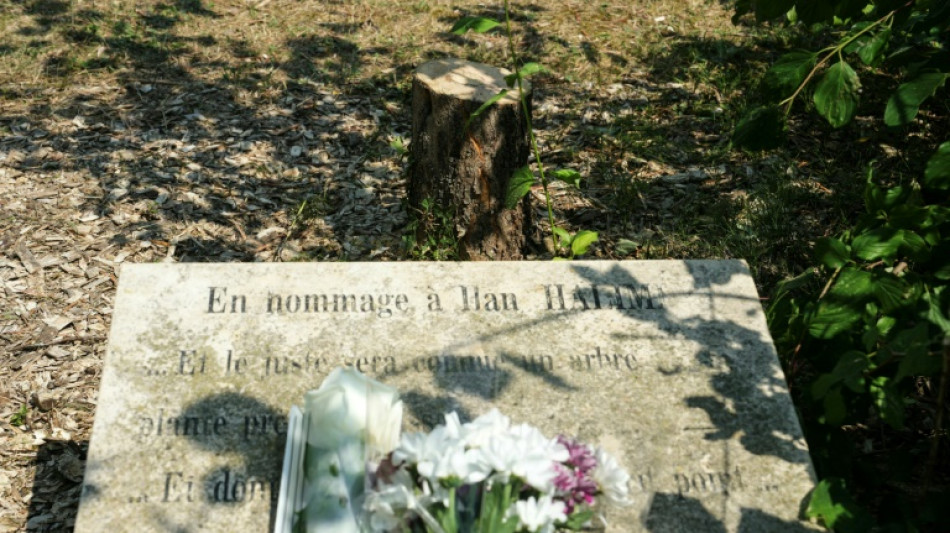 Enquête ouverte après l'abattage d'un olivier à la mémoire d'Ilan Halimi, indignation unanime