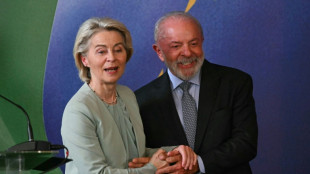 Brazil, EU hail trade deal as victory for multilateralism