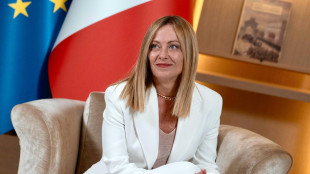 Meloni ringrazia Trump. Zelensky 'cerca soluzione diplomatica'