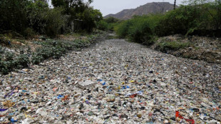Lutte contre la pollution plastique: une premi&egrave;re version du futur trait&eacute; publi&eacute;e (PNUE)