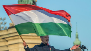 Peter Magyar, du s&eacute;rail au r&ocirc;le d'opposant de Viktor Orban 