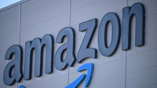 Le g&eacute;ant du commerce en ligne Amazon face &agrave; une gr&egrave;ve en plein "Black Friday"