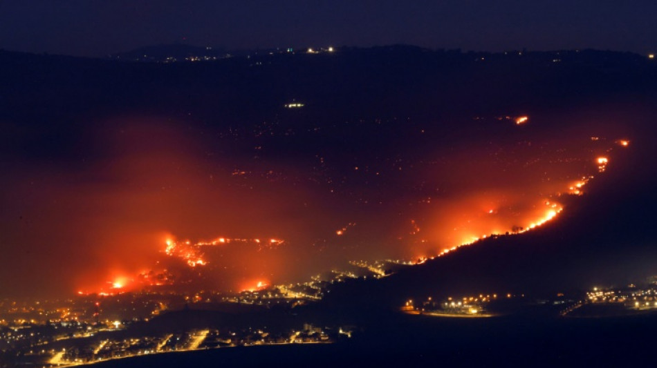 Feux de for&ecirc;ts dans le nord d'Isra&euml;l apr&egrave;s des tirs de roquettes du Liban