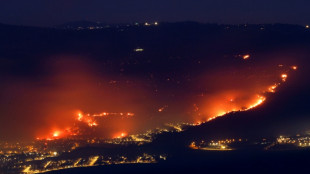Feux de for&ecirc;ts dans le nord d'Isra&euml;l apr&egrave;s des tirs de roquettes du Liban