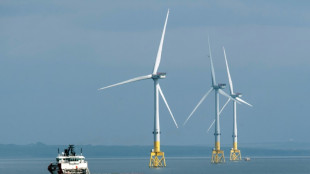 L'UE r&eacute;forme son march&eacute; de l'&eacute;lectricit&eacute; pour doper les &eacute;nergies d&eacute;carbon&eacute;es