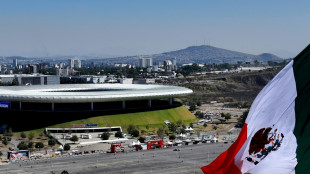 WM: 100.000 Sicherheitskr&auml;fte in Mexiko