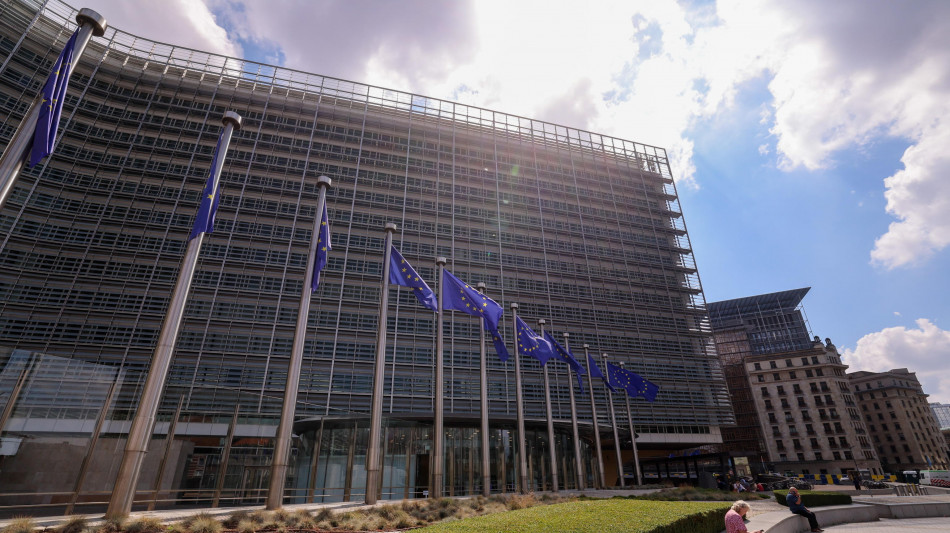Fonti, 'Consiglio europeo chieder&agrave; alla Commissione misure sull'energia'