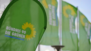Gr&uuml;nen-Fraktion will Mindestlohn "deutlich &uuml;ber 14 Euro" - Kritik von der FDP