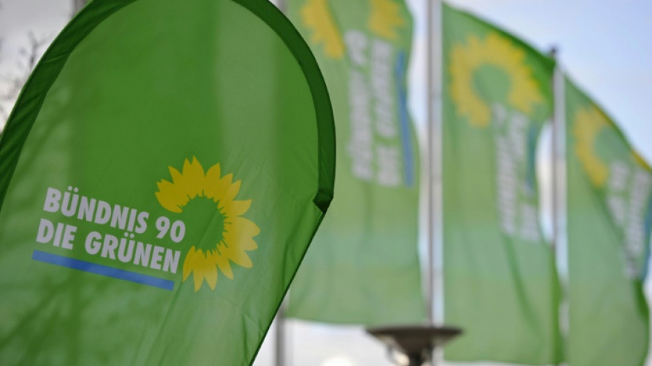 Kleiner Parteitag: Gr&uuml;nen rufen zur Verteidigung der EU auf