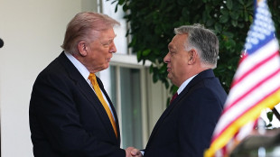 Trump al telefono al comizio di Orban, 'ha fatto un grande lavoro'