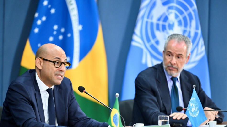 La lucha contra el cambio clim&aacute;tico est&aacute; en el inter&eacute;s de los pa&iacute;ses, dice la ONU