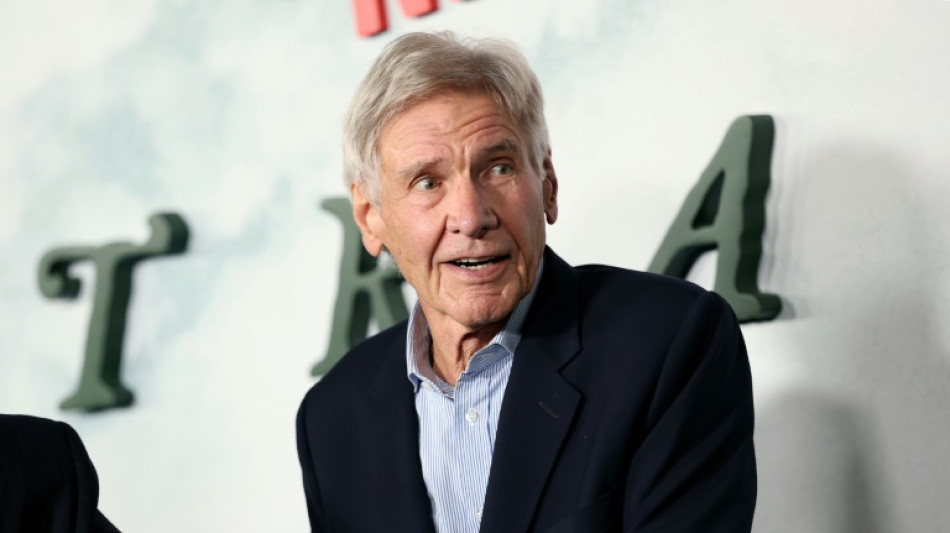 Harrison Ford receber&aacute; pr&ecirc;mio do Sindicato de Atores de Hollywood por sua trajet&oacute;ria