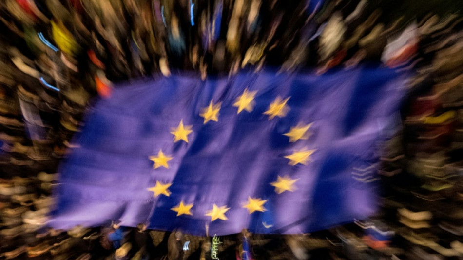 Studie vor EU-Wahl: Knapp die H&auml;lfte der Firmen macht sich offen gegen AfD stark