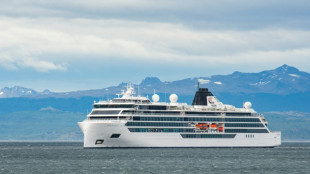 Una persona muere en un crucero ant&aacute;rtico por una ola gigante en el sur de Argentina