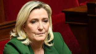 Ing&eacute;rence &eacute;trang&egrave;re et pr&ecirc;t russe au RN: Marine Le Pen entendue mercredi &agrave; l'Assembl&eacute;e