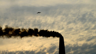Climat: l'&eacute;limination de CO2 doit quadrupler d'ici &agrave; 2050, selon un rapport