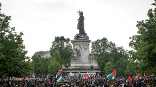 Deuxi&egrave;me manifestation cons&eacute;cutive &agrave; Paris contre les frappes sur Rafah
