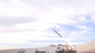 Pasdaran, 'distrutto un aereo Usa che cercava il pilota abbattuto'