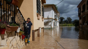 Global temperatures at near historic highs in March: EU monitor