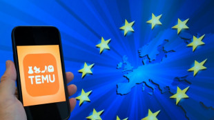 UE multa Temu em 200 milh&otilde;es de euros por permitir venda de produtos ilegais