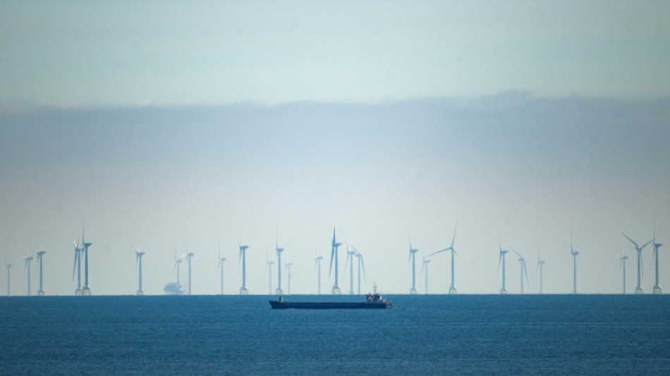 Branche warnt: 2030-Ziel bei Offshore-Windenergie wird verfehlt