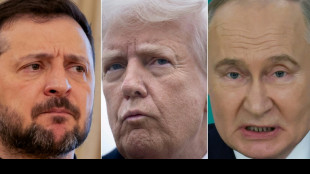 European leaders and military brass meet over Ukraine peace plans