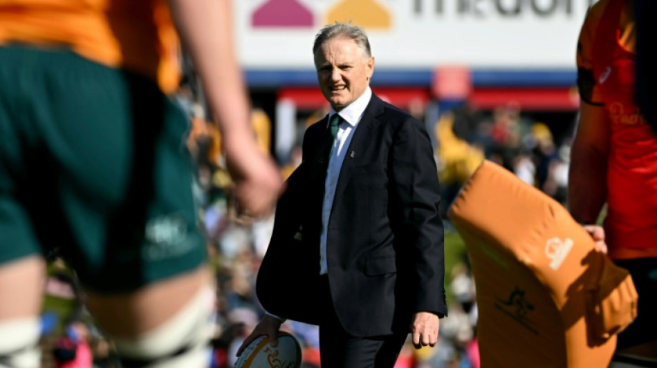 Schmidt admits Wallabies have mountain to climb against Lions