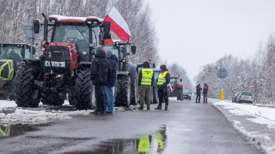 Kiew verurteilt "Zerst&ouml;rung" von ukrainischem Getreide durch polnische Bauern
