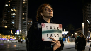 Ir&aacute;n desmiente que el manifestante Erfan Soltani vaya a ser ejecutado