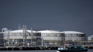 Il gas sui massimi, scorte Ue al 30%, mai cos&igrave; dall'aprile del 2018