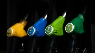 Carburants: apr&egrave;s l'&eacute;chec de la vente &agrave; perte, l'ex&eacute;cutif obtient des op&eacute;rations &agrave; prix co&ucirc;tant des distributeurs