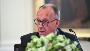 Merz: Ukraine "dürfen keine Gebietsabtretungen aufgezwungen werden" 