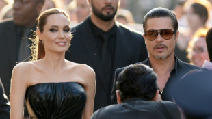 Pitt 'choked' one child, hit another in Jolie plane fight: court papers