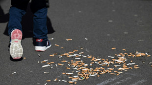 La g&eacute;ographie des m&eacute;gots de cigarettes reflet des flux humains, selon une &eacute;tude 