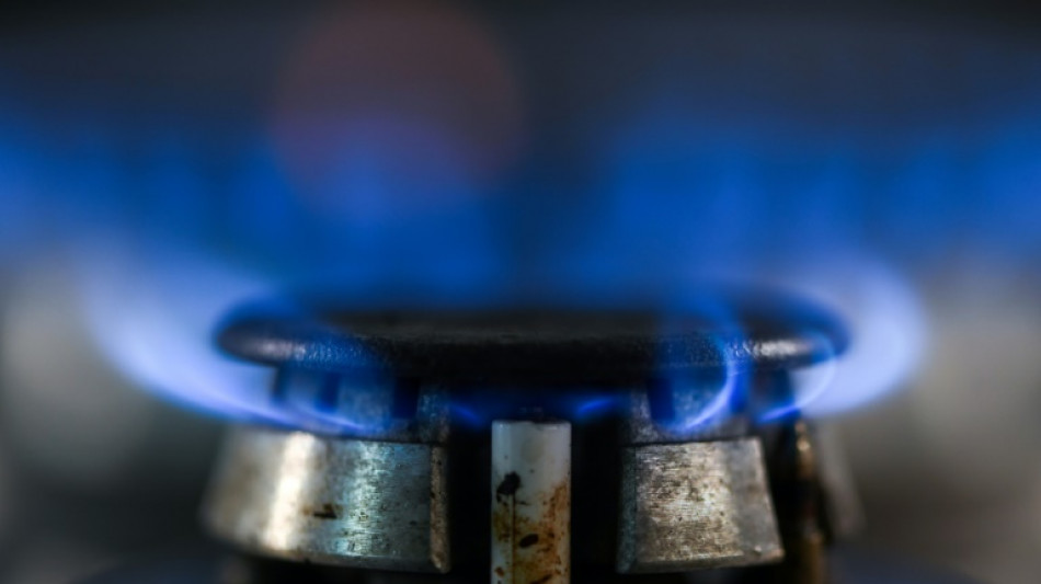 Energiewirtschaft fordert Ausrufung der Fr&uuml;hwarnstufe des Notfallplans Gas