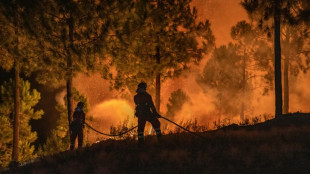 Waldbrände in Portugal und Spanien weitgehend unter Kontrolle