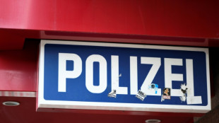 Früherer Bundeschef von Polizeigewerkschaft in Hamburg wegen Betrugs verurteilt