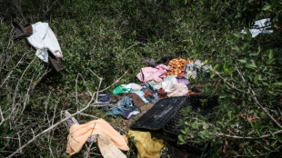 Kenya fears more starvation cult victims as search resumes