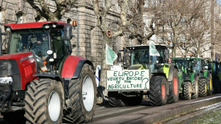 Milhares de agricultores europeus protestam contra o acordo UE-Mercosul