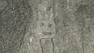 AI research uncovers 300 ancient etchings in Peru's Nazca desert