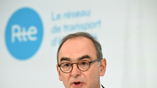 Risque de coupures d'&eacute;lectricit&eacute;: "on est quasiment sortis d'affaire", selon le patron de RTE