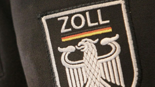 Lindner w&uuml;rdigt Zoll auf "Spitzenniveau" als wichtigen Standortfaktor
