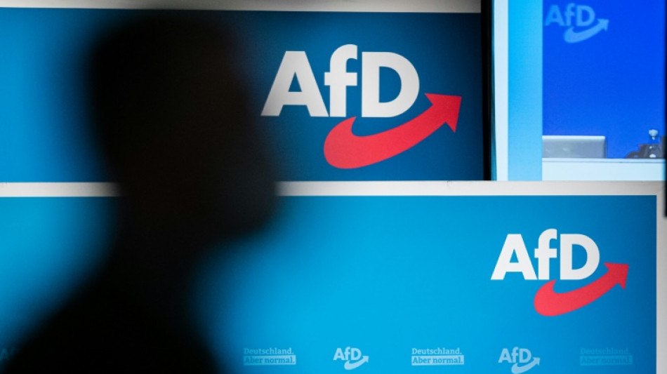 "Wende r&uuml;ckw&auml;rts zu Nationalismus": BDI-Pr&auml;sident warnt vor Wahlerfolgen der AfD
