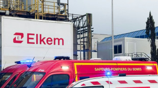 Quatre bless&eacute;s dans une explosion dans une usine chimique pr&egrave;s de Lyon